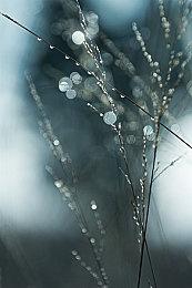 《暗黑2重制版》2.5版上线 加入恐怖区域和新破灭咒符